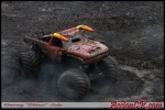DSG_2906