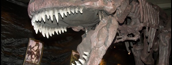 163 Dinosaurios Animatronix
