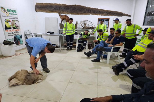 Este año se han rescatado 21 animales en la Ruta 27