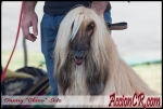 IMG_3662.jpg