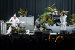 15/09/2015. Costa Rica, Alajuela, Parque Viva. Concierto con la banda de rock estadounidense Faith No More. Teloneros los nacionales de The Movement in Codes.
FotografÃ­as: Alexander OtÃ¡rola / www.AOtarolaR.com