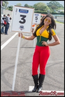 DSG_2642