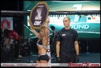 AccionCR-CRFShows7-011