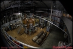 DSG_0993