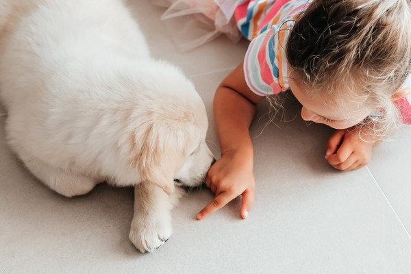 Educando a mi perro de apoyo emocional