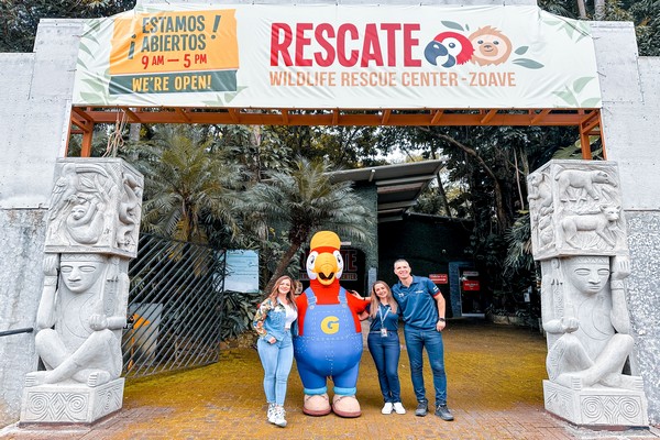 Cada año más de 3.000 animales silvestres regresan a la vida gracias al rescate: nueva alianza fortalece labor en Costa Rica