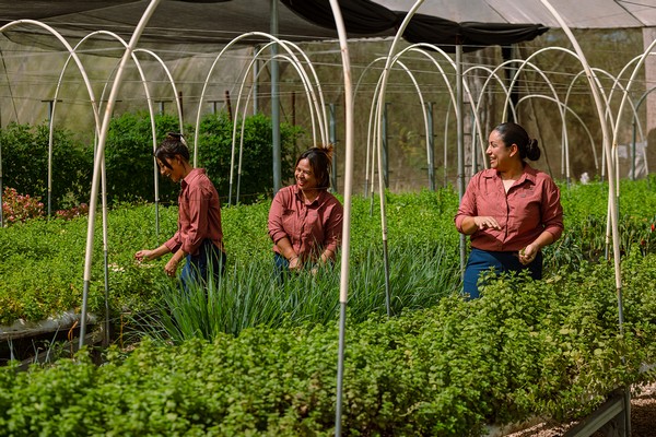 Mujeres jefas de hogar lideran proyecto de agricultura sostenible y economía circular en Guanacaste
