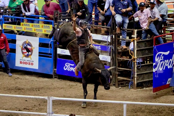 Ocho toros de alto nivel pondrán a prueba a los mejores jinetes en el Extreme American Rodeo